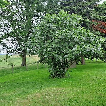 La Rivale Villa Andouque Dış mekan fotoğraf